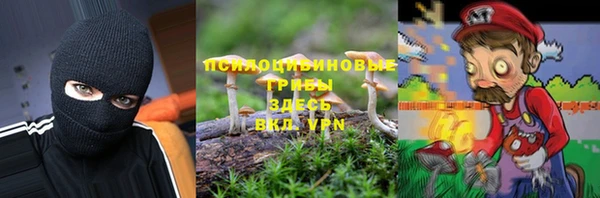 прущие грибы Краснослободск