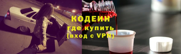 прущие грибы Краснослободск