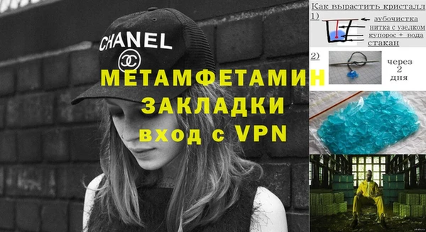 прущие грибы Краснослободск