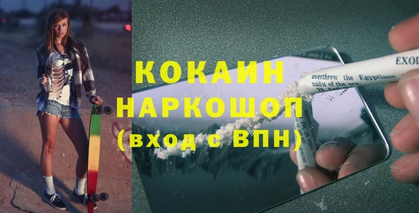 прущие грибы Краснослободск