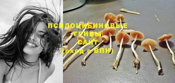 ешки Красноперекопск