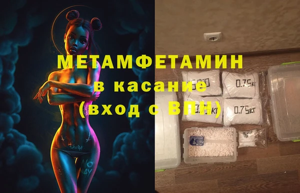 прущие грибы Краснослободск