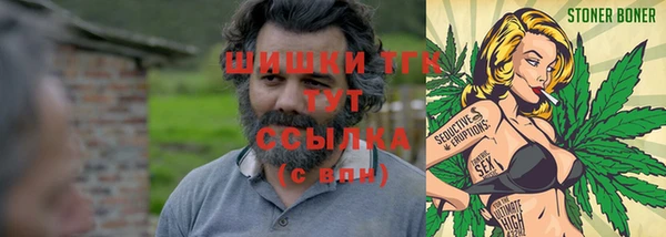 прущие грибы Краснослободск