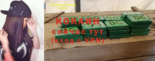 прущие грибы Краснослободск