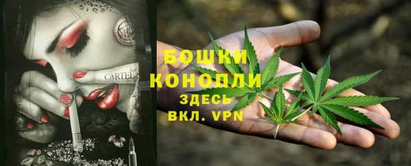 прущие грибы Краснослободск